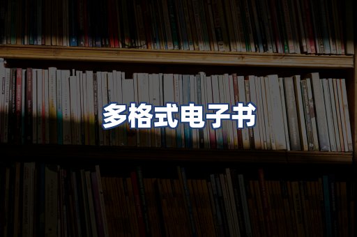 多格式电子书